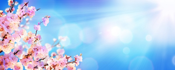 战疫情，北京韦林公司全体员工齐心协力共克时艰！